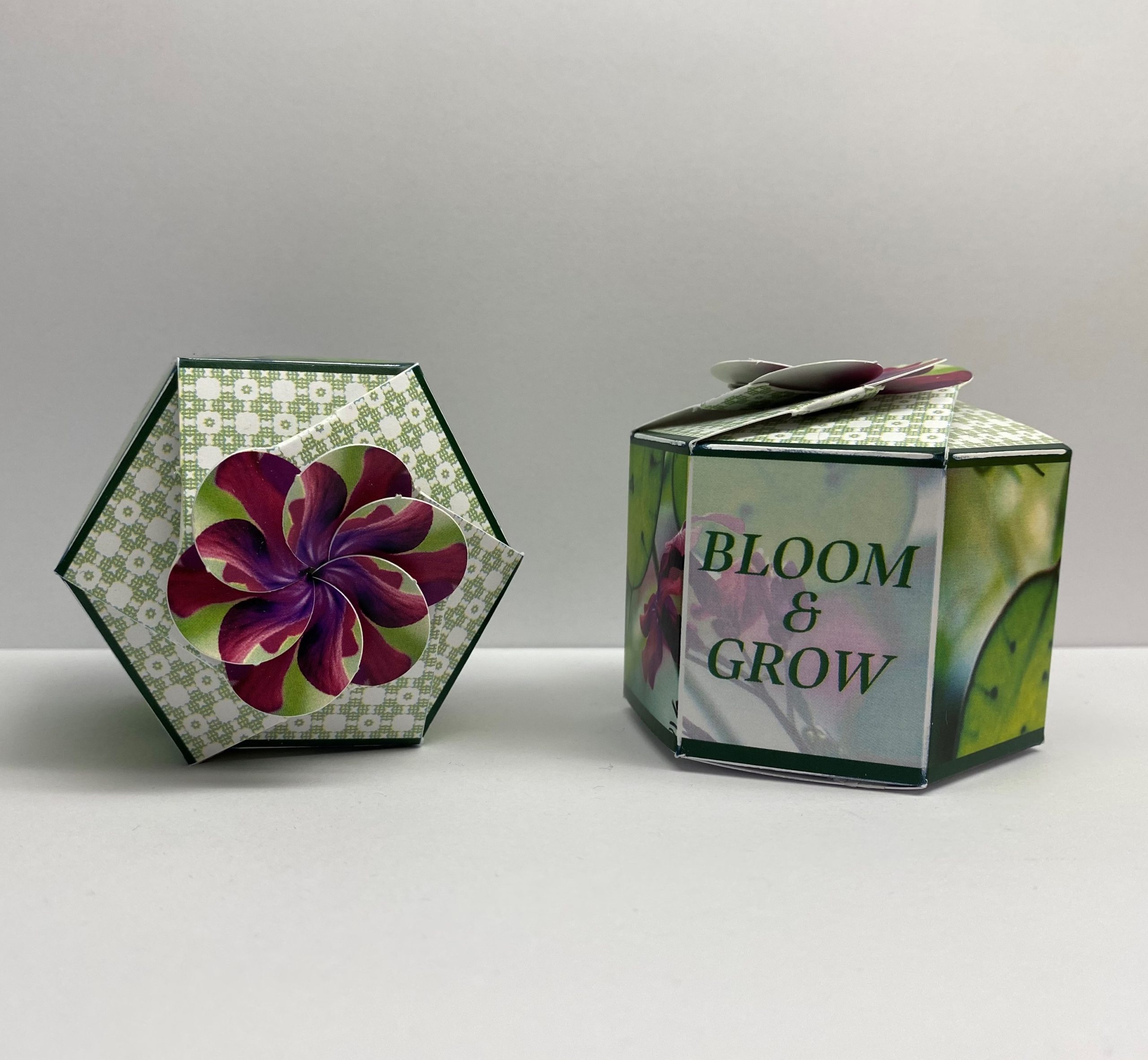 #W1001-1 Customized Moneyplant SeedGems Paper Planter – Biodegradable grow kit