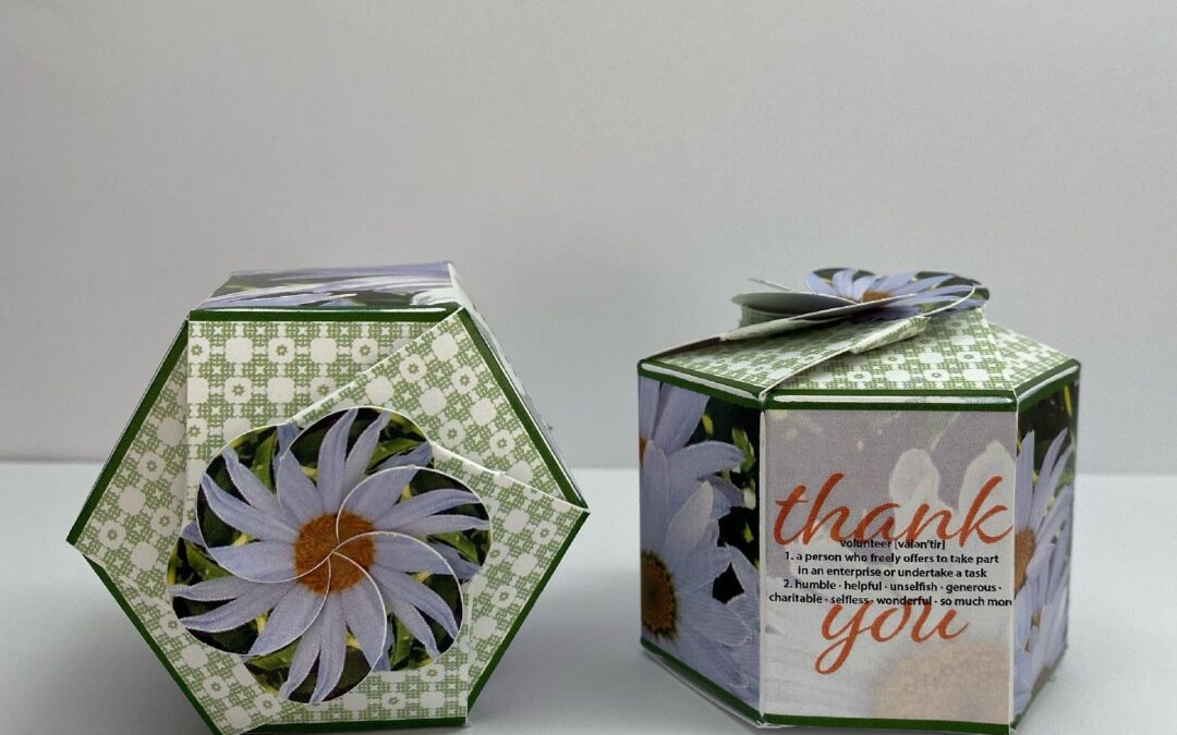 #W1002-1 Customized Shasta Daisy SeedGems Paper Planter – Biodegradable grow kit